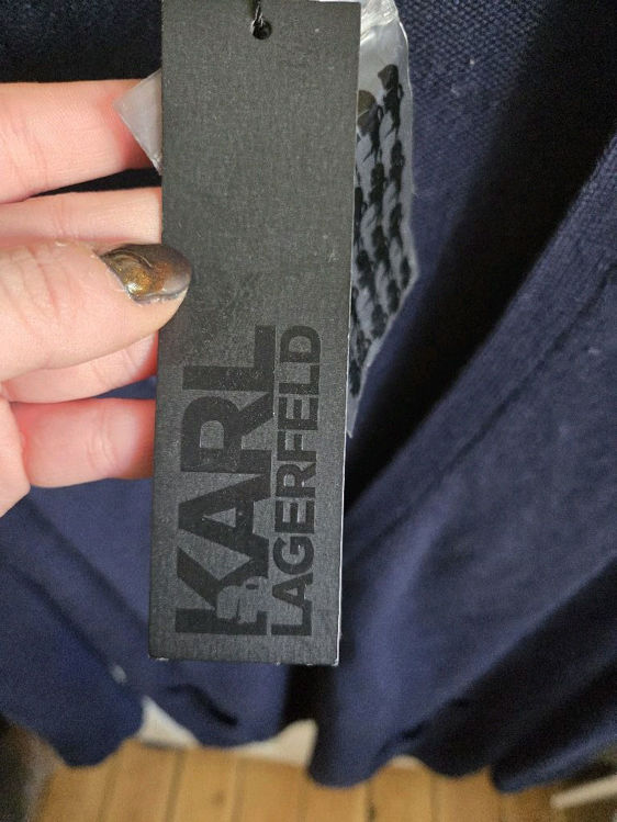 Billede af Karl Lagerfeld