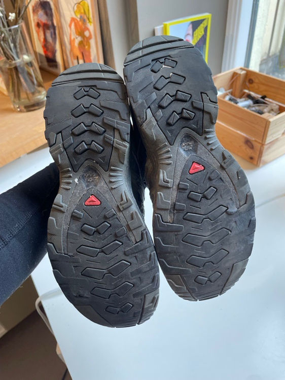 Billede af Salomon