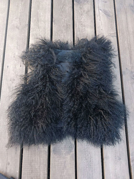 Billede af Vest